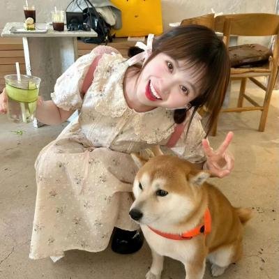 麦兜·当当伴我心